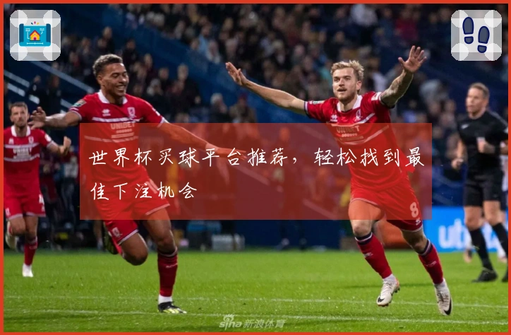 世界杯买球平台推荐，轻松找到最佳下注机会
