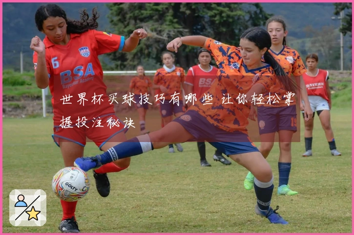 世界杯买球技巧有哪些 让你轻松掌握投注秘诀