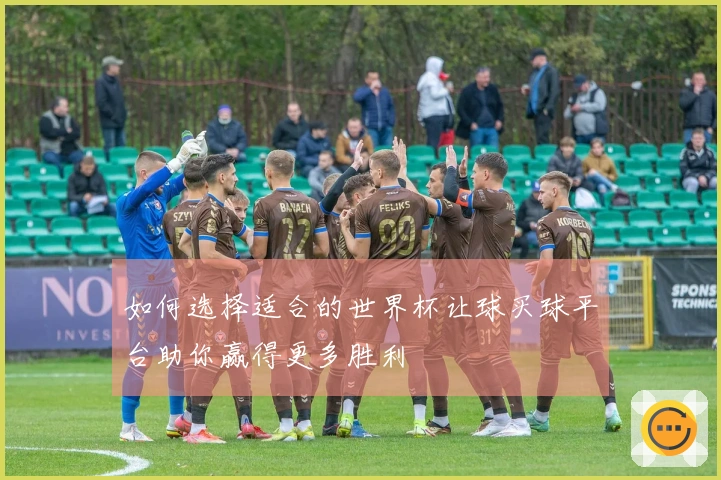 如何选择适合的世界杯让球买球平台助你赢得更多胜利