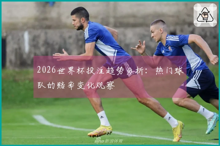 2026世界杯投注趋势分析：热门球队的赔率变化观察