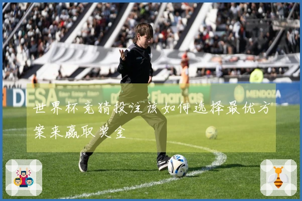 世界杯竞猜投注该如何选择最优方案来赢取奖金
