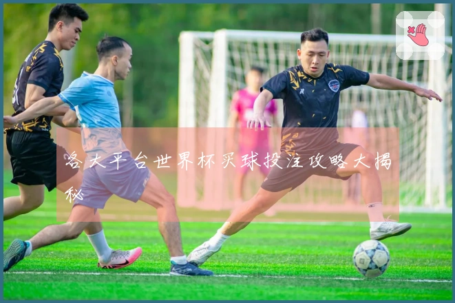 各大平台世界杯买球投注攻略大揭秘