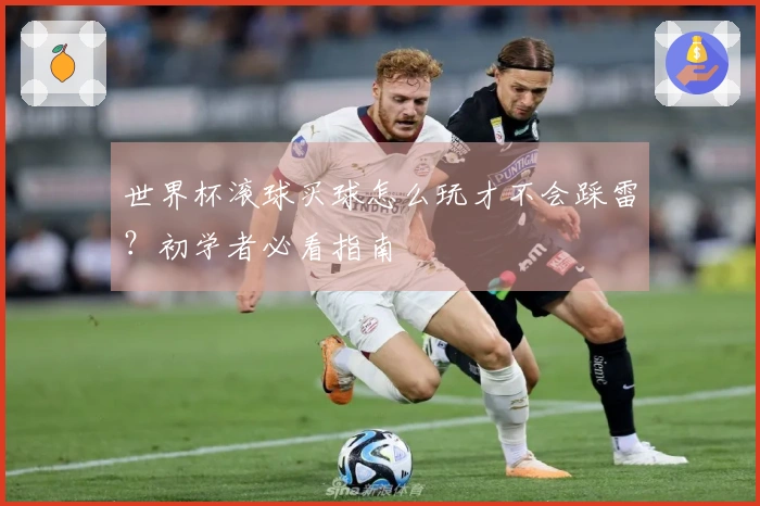 世界杯滚球买球怎么玩才不会踩雷？初学者必看指南