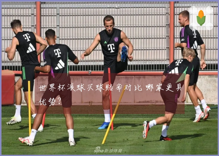 世界杯滚球买球赔率对比 哪家更具优势？