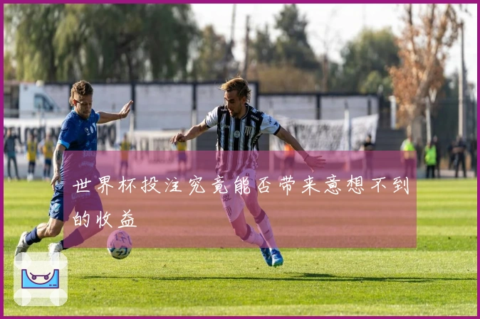 世界杯投注究竟能否带来意想不到的收益