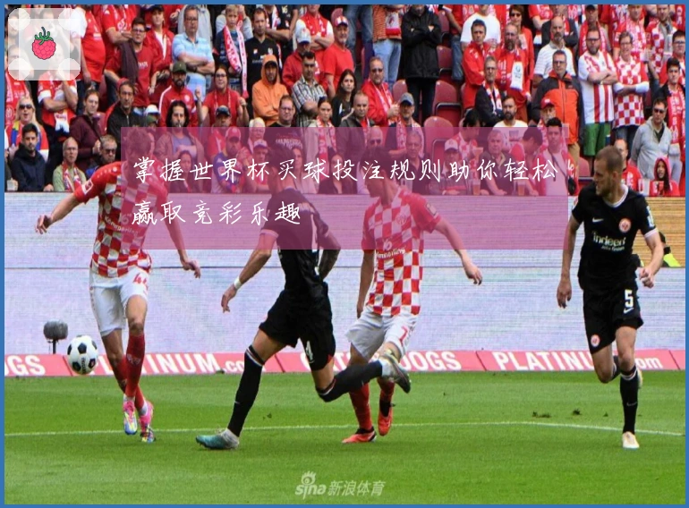 掌握世界杯买球投注规则助你轻松赢取竞彩乐趣